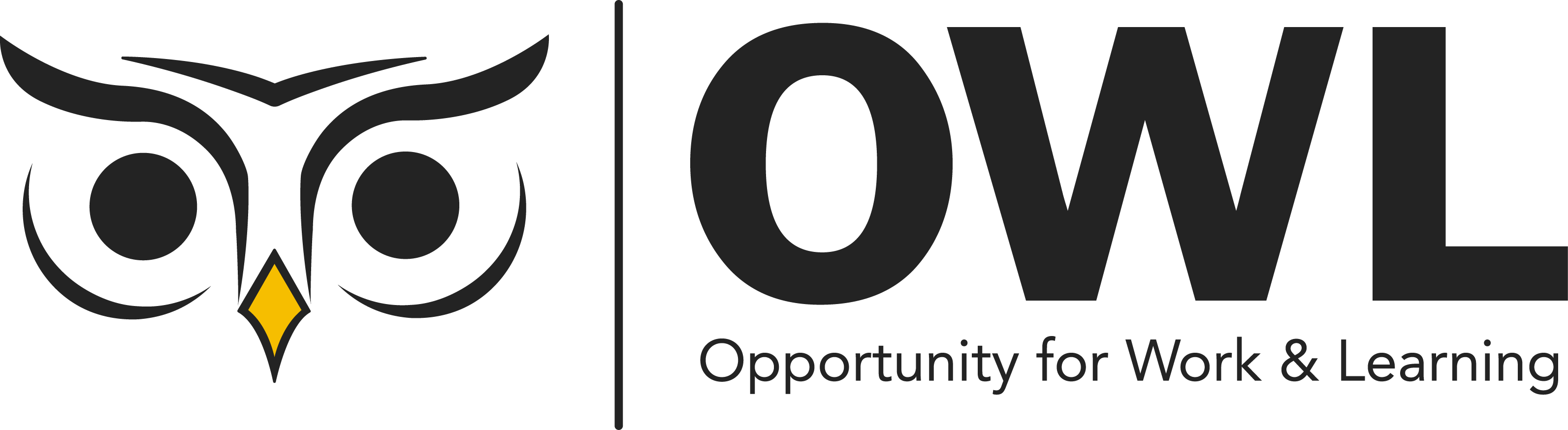 OWL: Opportunity for Work & Learning
