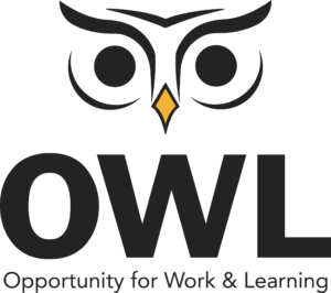 Current OWL Logo